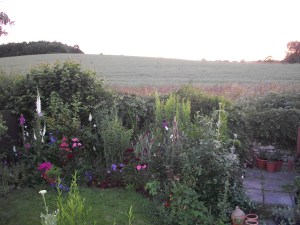Overlooking Townsend Meadow: on the edge of the Edge