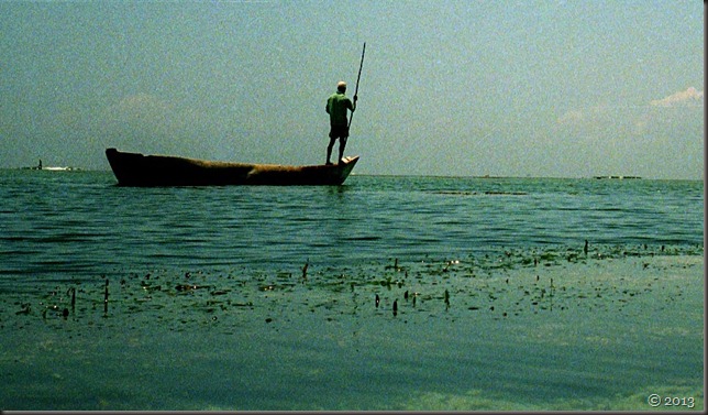 Digo fisherman on lagoon, Tiwi 2