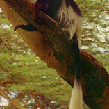 View album View album