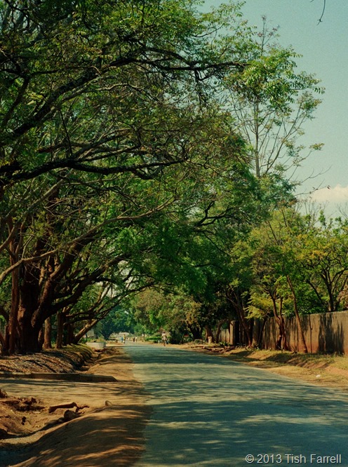 Sable Road in the dry season 2