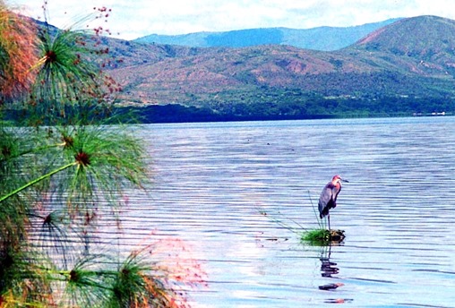 Scan-130716-0011 (11)