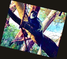 Scan-130716-0012 (2)