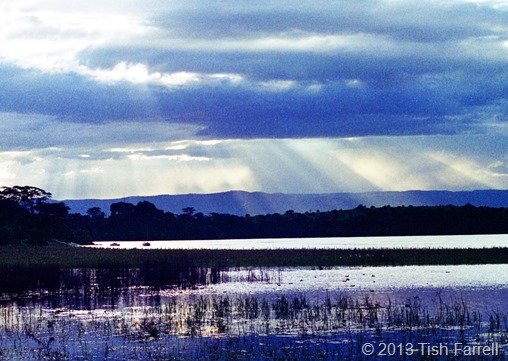 Scan-130716-0012 (3)