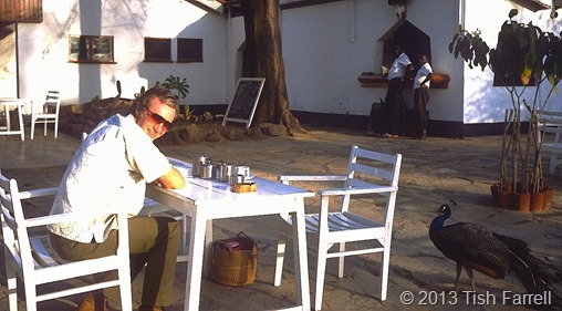 Graham and peacock 1992