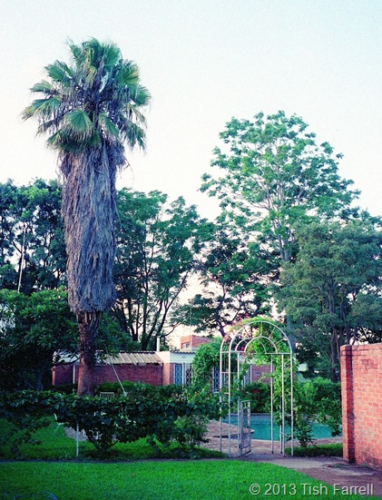 Sable Road - compound pool