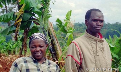 clip_image011 clip_image011