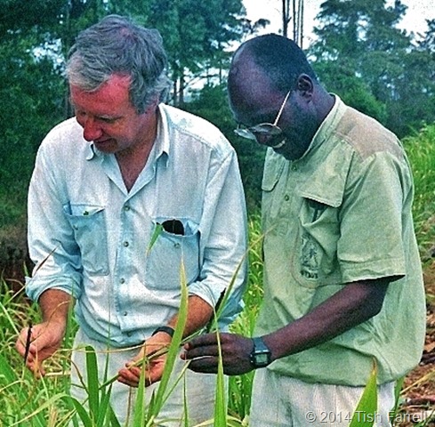 Graham and Kungu delighted to find smut on Waiyaki Way Graham and Kungu delighted to find smut on Waiyaki Way