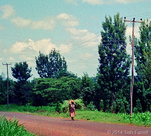 Kikuyu lane with woman carrying napier grass Kikuyu lane with woman carrying napier grass