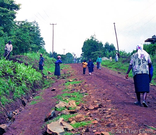 Rift lane after July downpour Rift lane after July downpour