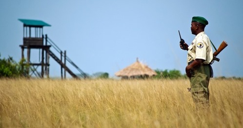 Virunga ranger