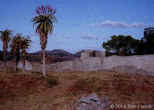 aloes and Great Zimbabwe