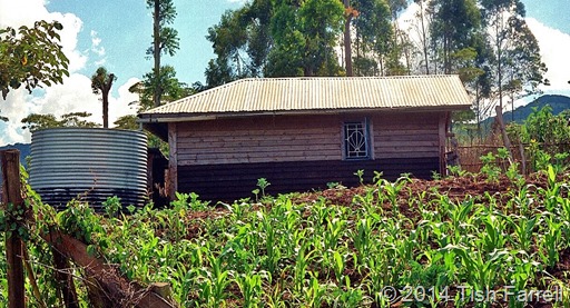 Finch Hatton's grave on the Ngong farm