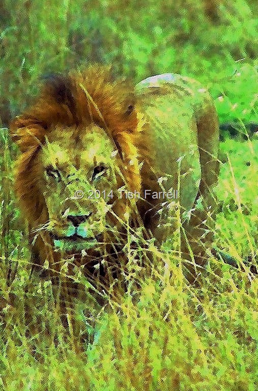 Scan-131109-0048 - Copy