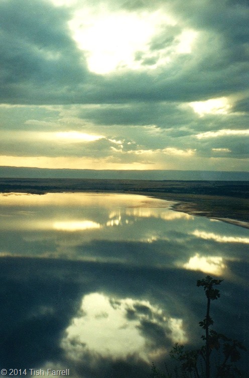 003 - Copy 003 - Copy