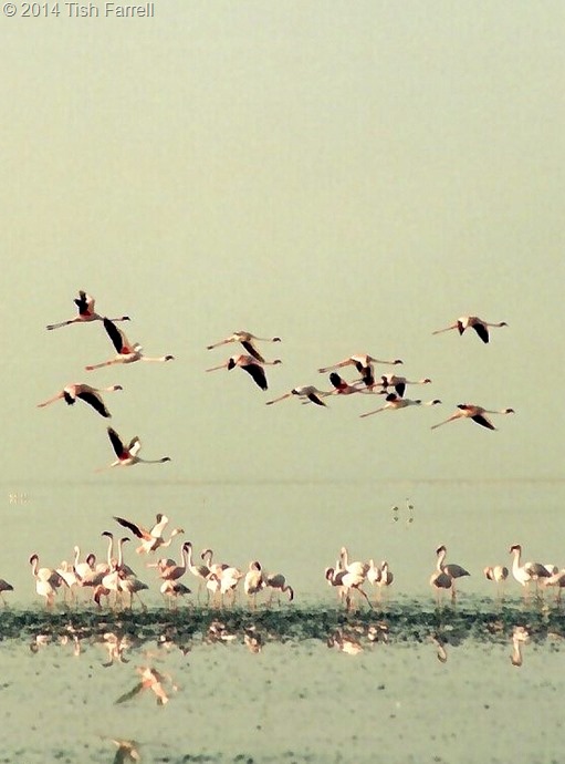 Scan-140502-0067 Scan-140502-0067