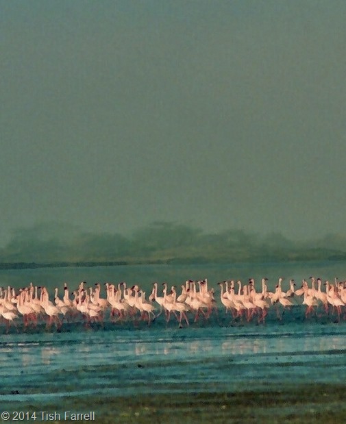 Scan-140503-0002 Scan-140503-0002