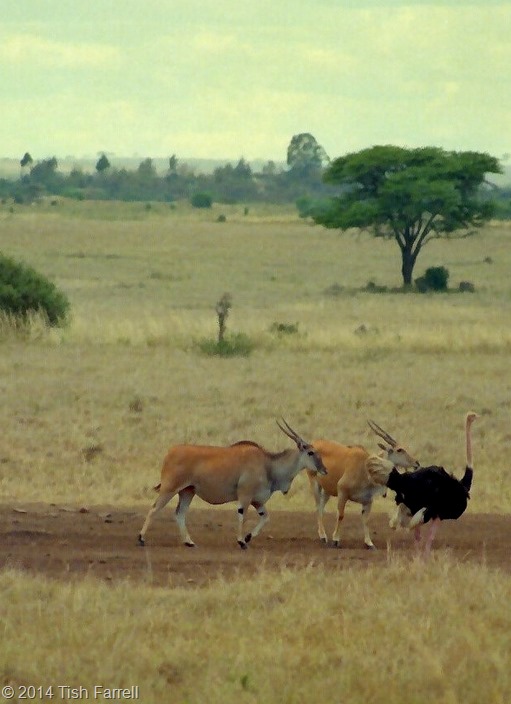 Scan-140504-0003 Scan-140504-0003