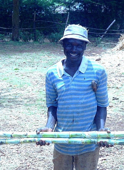 Kikuyu farmer and sugar cane