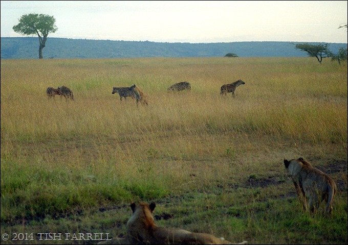 Scan-140826-0027jpeg