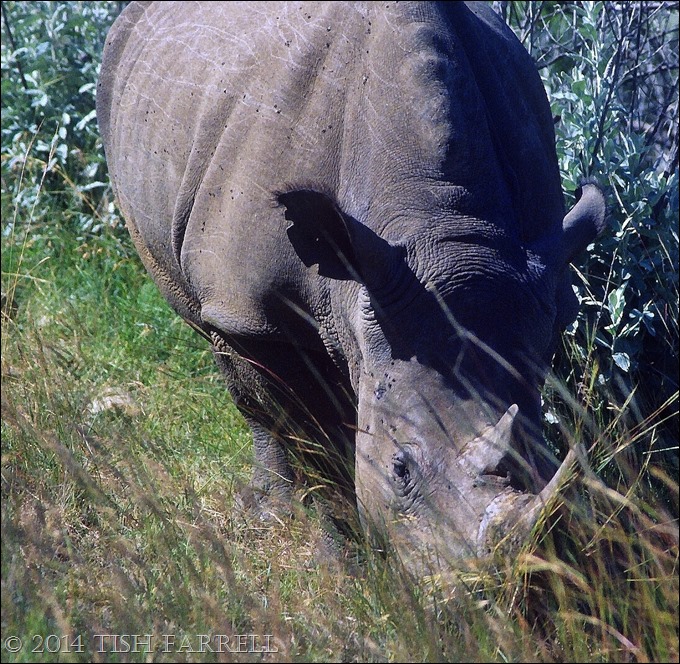 Scan-140827-0009jpeg Scan-140827-0009jpeg