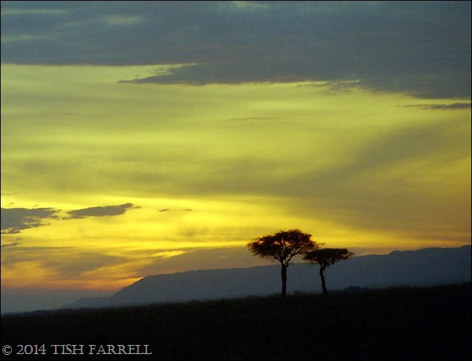 Scan-140726-0002 (3)