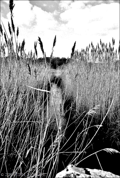 P1000151 - Copy - Copy P1000151 - Copy - Copy