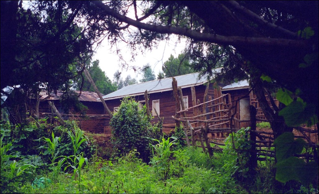 Kikuyu farmstead 1