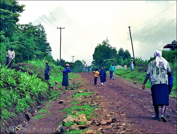 Rift lane after July downpour