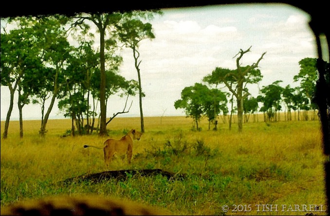 Scan-140726-0010 (2)