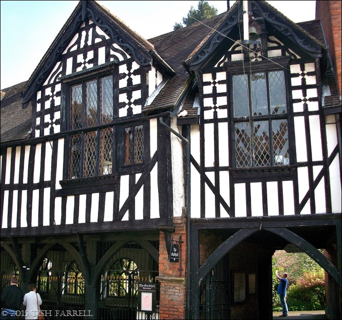 100_5540 - Copy 100_5540 - Copy