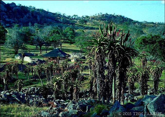 Great Zimbabwe general view