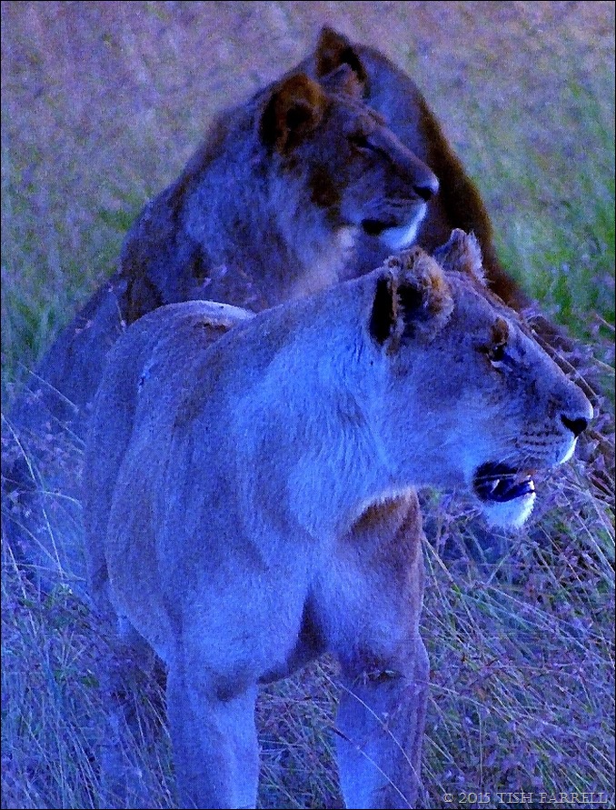 Scan-140826-0029jpeg