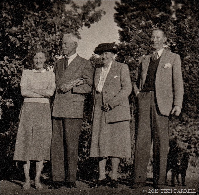 IMG_0006 (4) IMG_0006 (4)