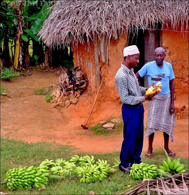 Scan-130429-0006 - Copy (2)