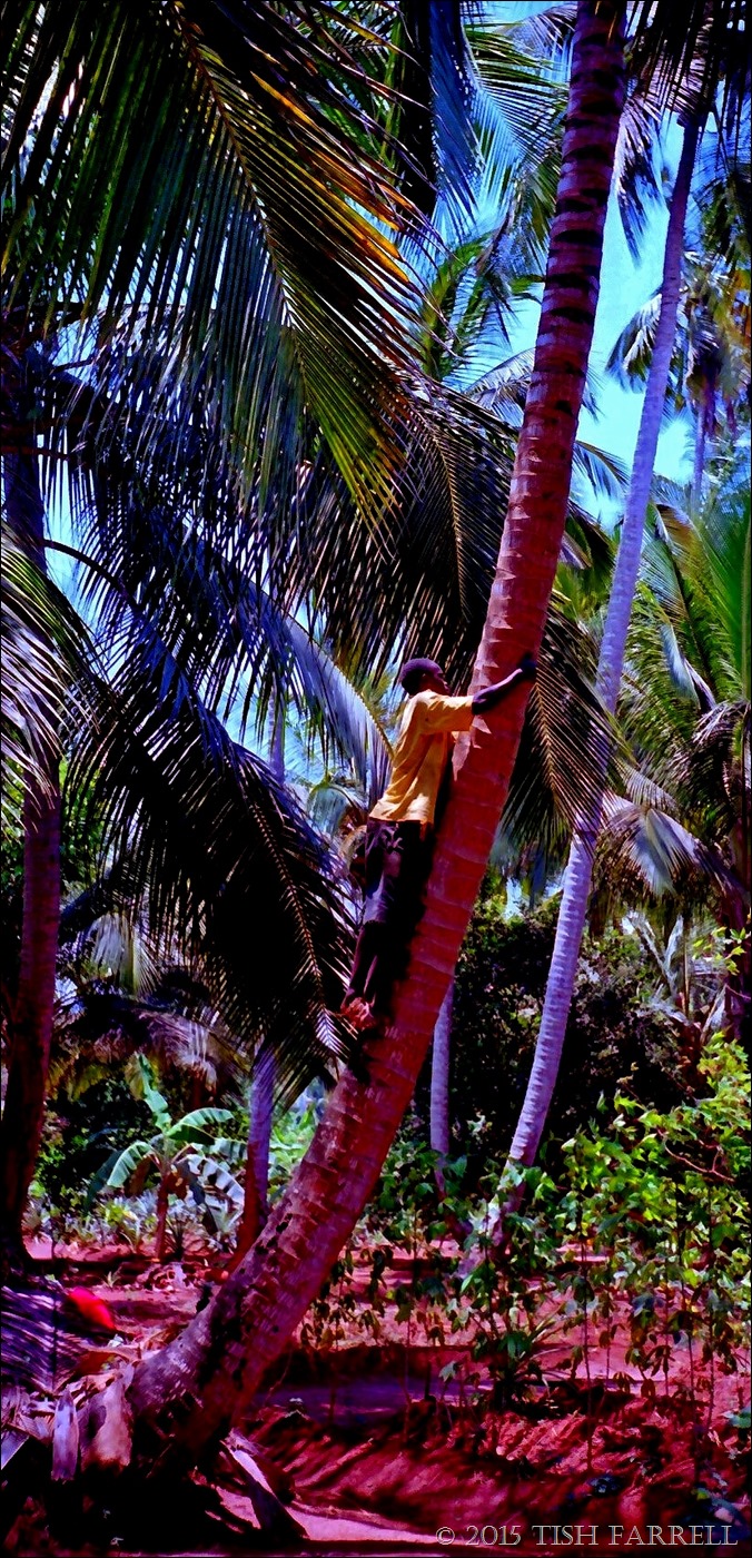 Scan-130429-0074 - Copy