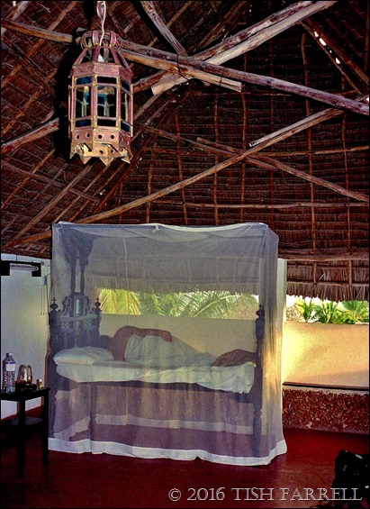 Scan-130428-0123 Scan-130428-0123