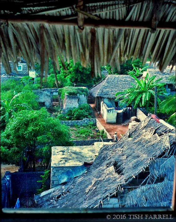 Scan-140802-0004 Scan-140802-0004