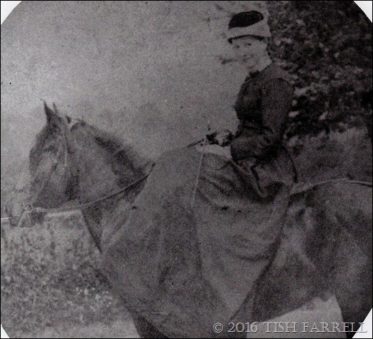 Mary Ann Williamson Fox of Callow b.1863 Mary Ann Williamson Fox of Callow b.1863