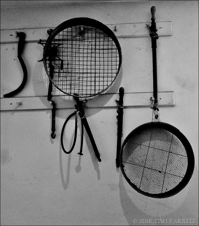 P1060192 - Copy P1060192 - Copy