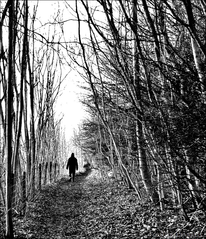 100_7046 - Copy