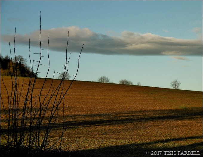 P1000380 - Copy (2)