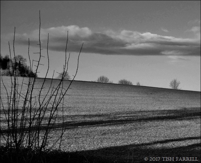 P1000380 - Copy