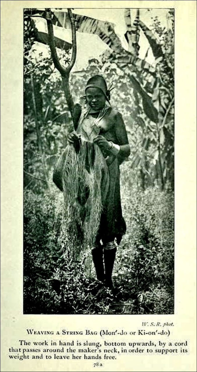 Basket Case ~ How To Make A Bag From A Baobab – Tish Farrell