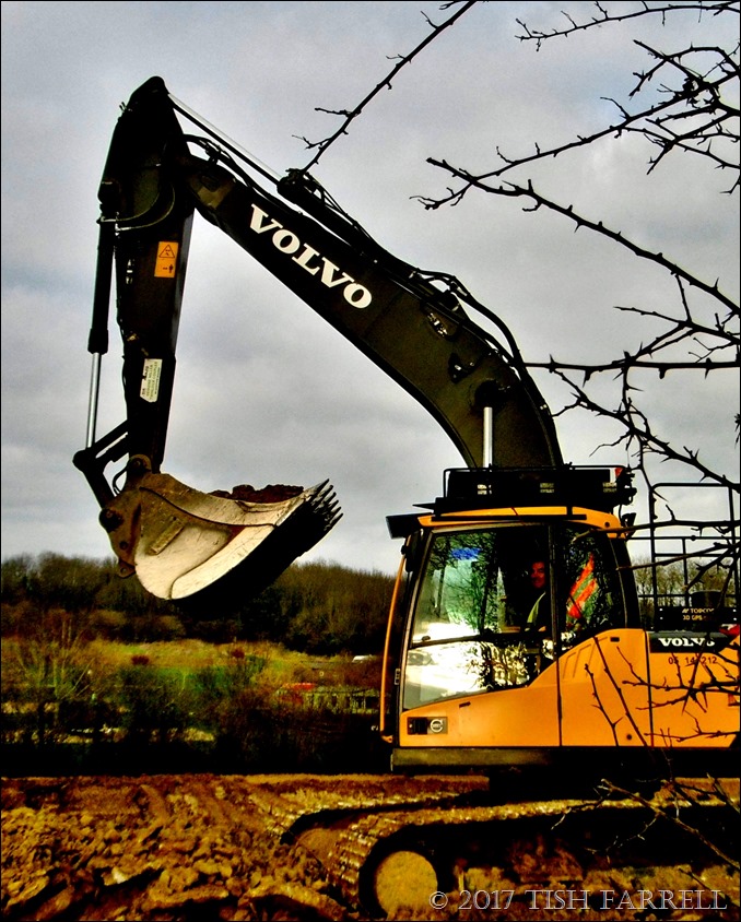 P1060816 - Copy - Copy