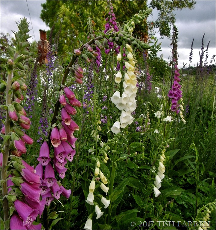 P1080135