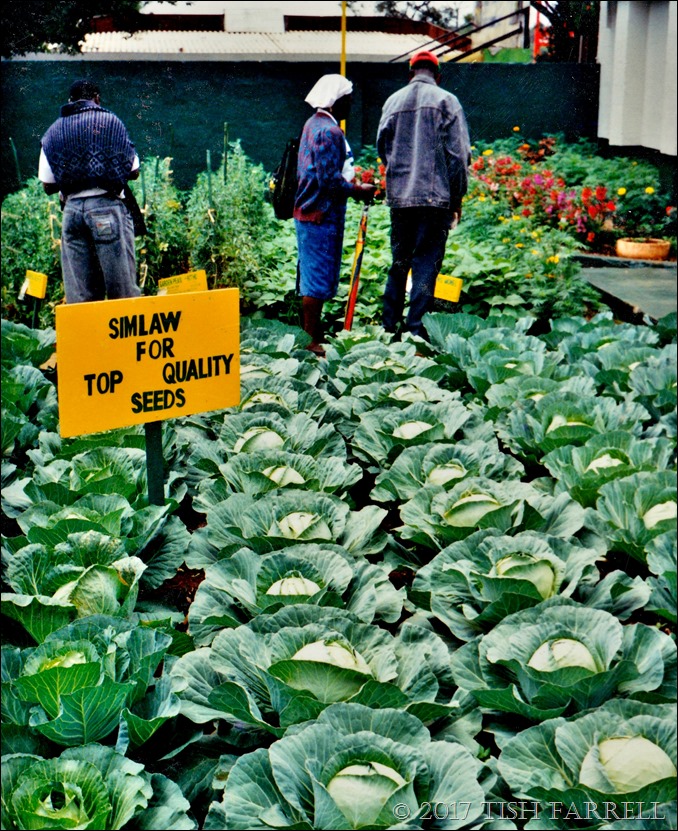 Agri show 1995 b