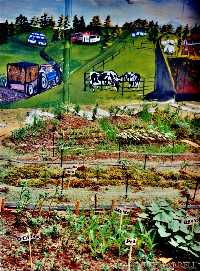 Agri show 1995 c_0006