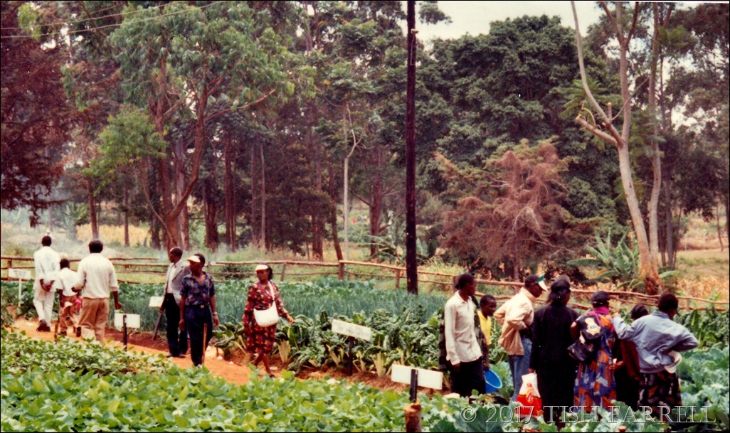 Agri show 1995 c_0016 - Copy