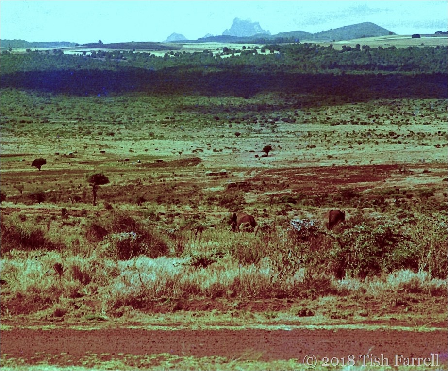 Scan-130608-0028 - Copy