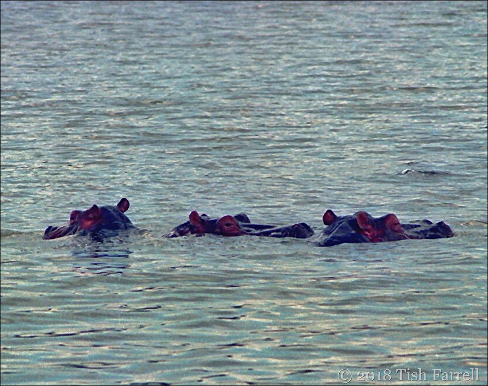 Scan-130716-0011 (3) b